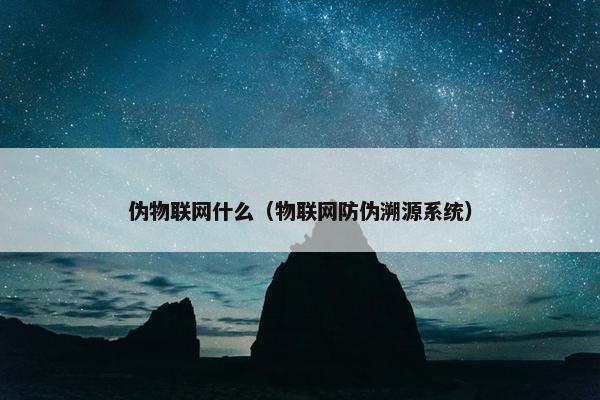 伪物联网什么（物联网防伪溯源系统）