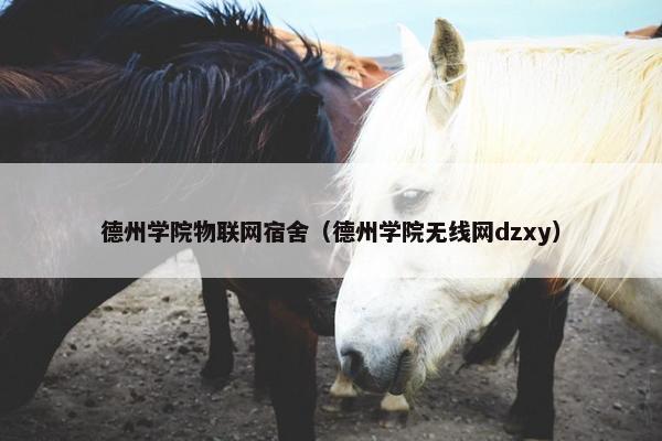 德州学院物联网宿舍（德州学院无线网dzxy）