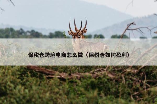 保税仓跨境电商怎么做（保税仓如何盈利）