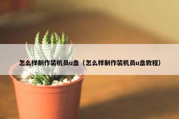 怎么样制作装机员u盘（怎么样制作装机员u盘教程）