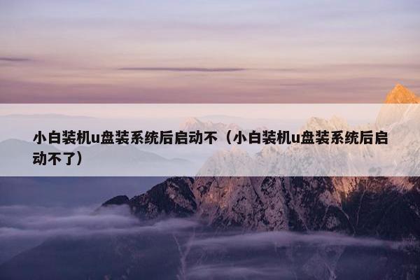 小白装机u盘装系统后启动不（小白装机u盘装系统后启动不了）