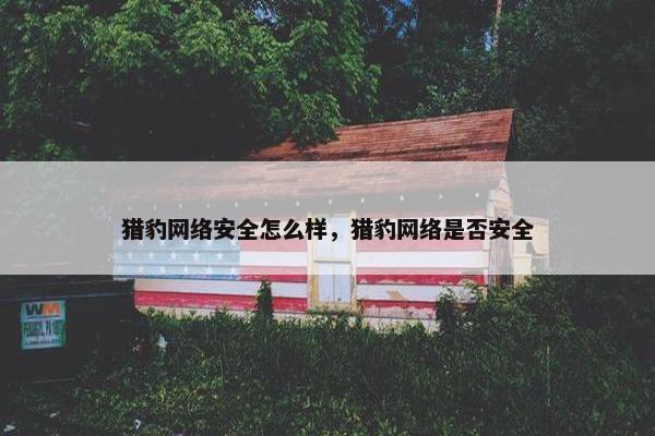 猎豹网络安全怎么样，猎豹网络是否安全