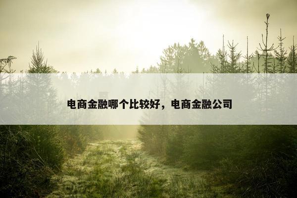 电商金融哪个比较好，电商金融公司