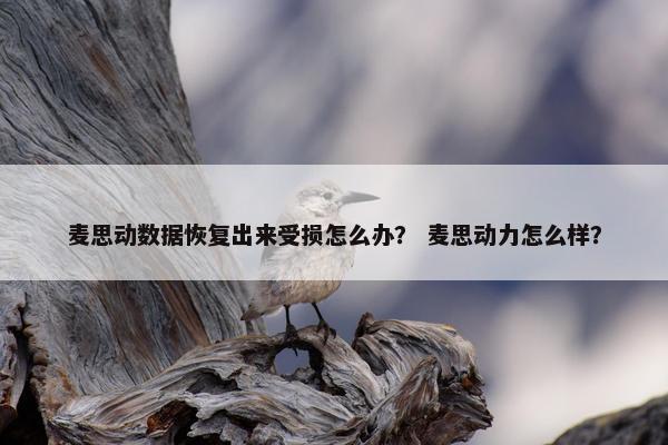 麦思动数据恢复出来受损怎么办？ 麦思动力怎么样？