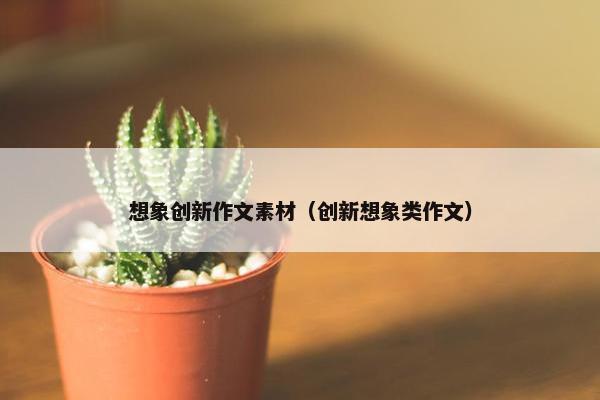 想象创新作文素材（创新想象类作文）