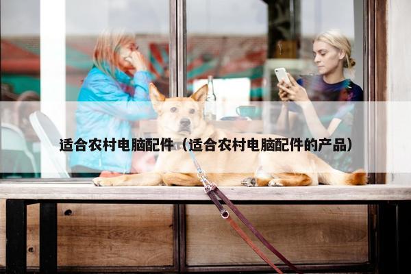 适合农村电脑配件（适合农村电脑配件的产品）