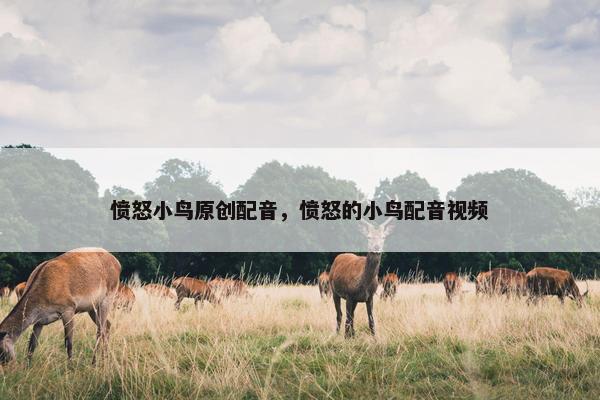 愤怒小鸟原创配音，愤怒的小鸟配音视频