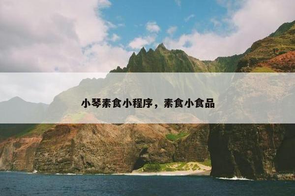 小琴素食小程序，素食小食品