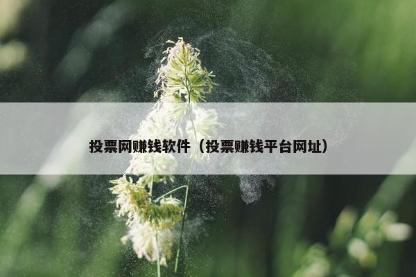 投票网赚钱软件（投票赚钱平台网址）