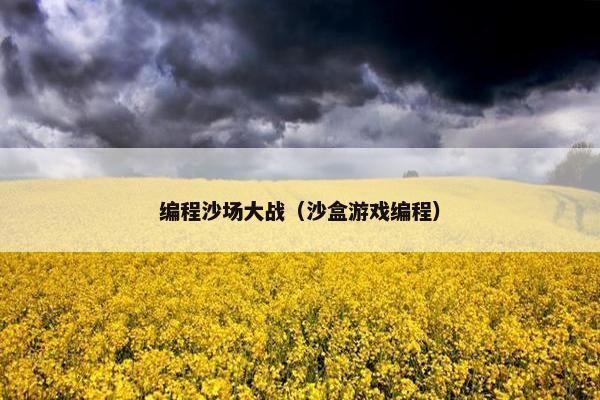 编程沙场大战（沙盒游戏编程）