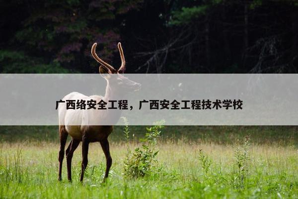 广西络安全工程，广西安全工程技术学校