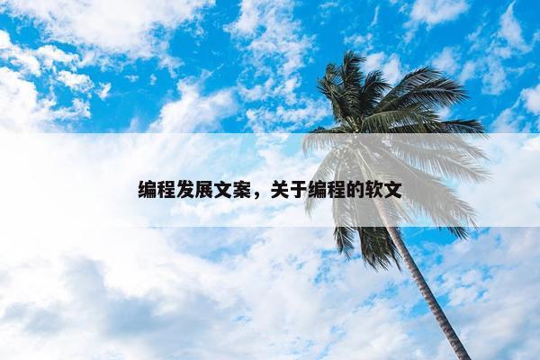 编程发展文案，关于编程的软文
