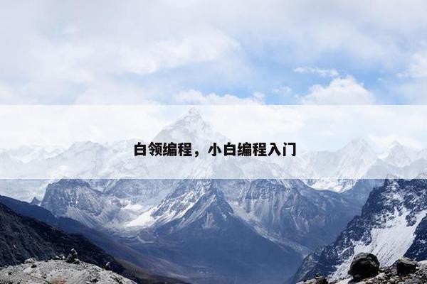 白领编程，小白编程入门