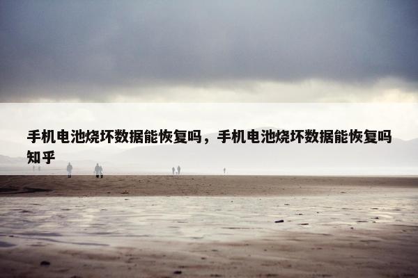 手机电池烧坏数据能恢复吗，手机电池烧坏数据能恢复吗知乎