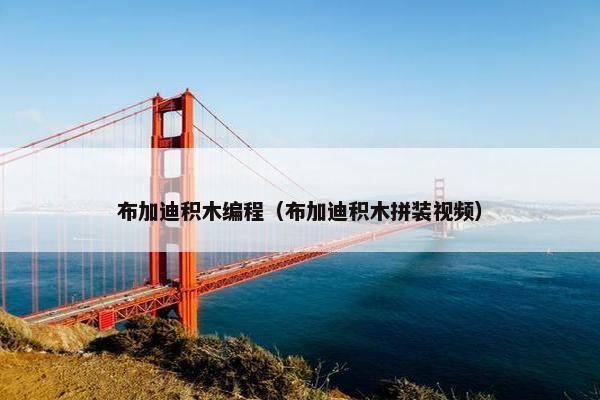 布加迪积木编程（布加迪积木拼装视频）
