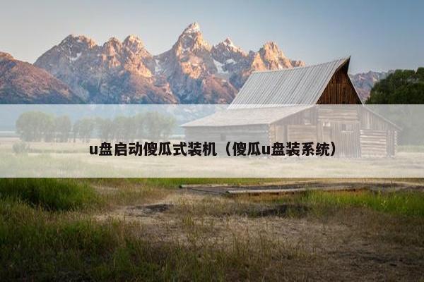 u盘启动傻瓜式装机（傻瓜u盘装系统）