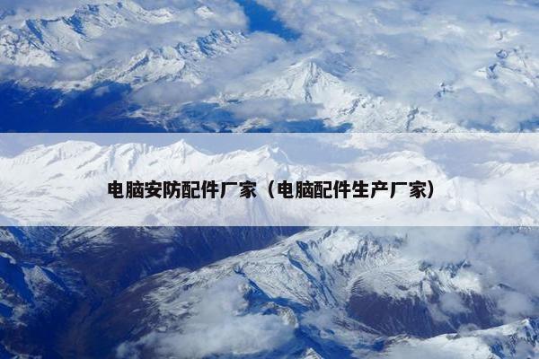 电脑安防配件厂家（电脑配件生产厂家）