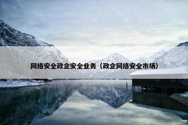 网络安全政企安全业务（政企网络安全市场）