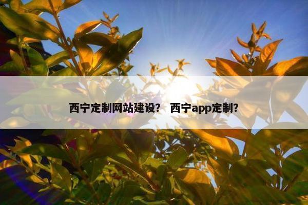 西宁定制网站建设？ 西宁app定制？