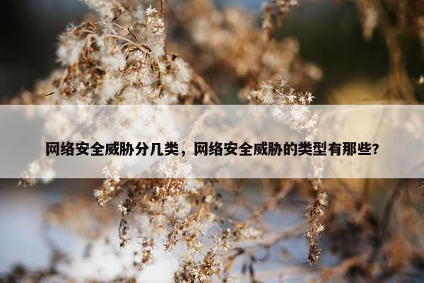 网络安全威胁分几类，网络安全威胁的类型有那些?