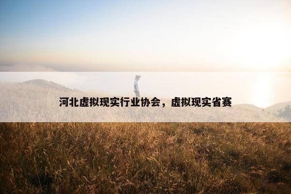 河北虚拟现实行业协会，虚拟现实省赛