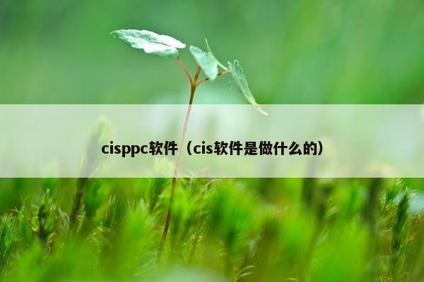 cisppc软件（cis软件是做什么的）