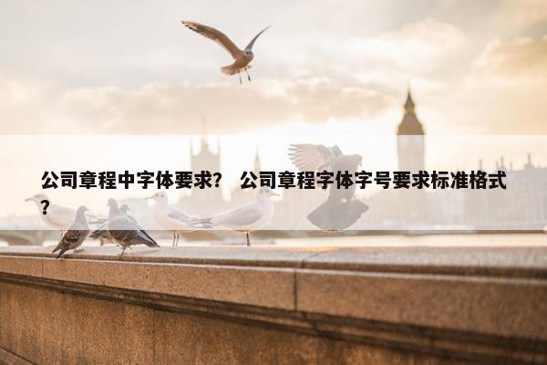 公司章程中字体要求？ 公司章程字体字号要求标准格式？