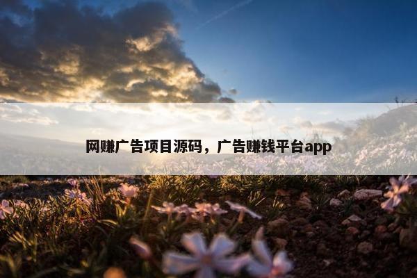 网赚广告项目源码，广告赚钱平台app