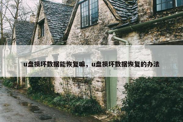 u盘损坏数据能恢复嘛，u盘损坏数据恢复的办法
