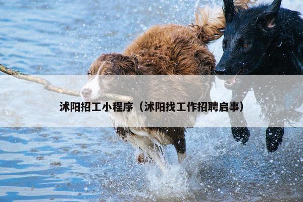 沭阳招工小程序（沭阳找工作招聘启事）