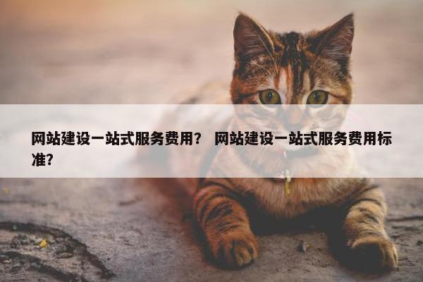 网站建设一站式服务费用？ 网站建设一站式服务费用标准？