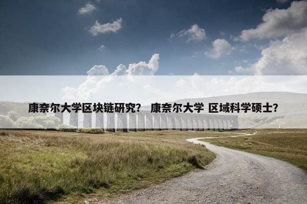 康奈尔大学区块链研究？ 康奈尔大学 区域科学硕士？