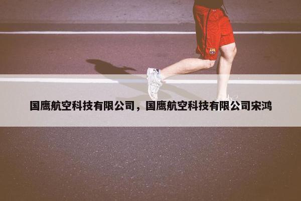 国鹰航空科技有限公司，国鹰航空科技有限公司宋鸿