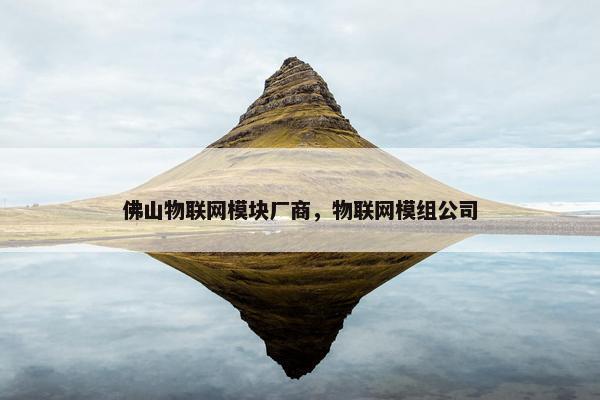 佛山物联网模块厂商，物联网模组公司