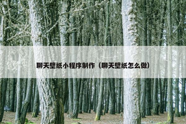聊天壁纸小程序制作（聊天壁纸怎么做）