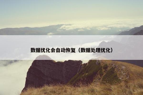 数据优化会自动恢复（数据处理优化）