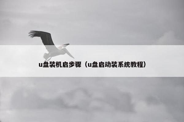 u盘装机启步骤（u盘启动装系统教程）