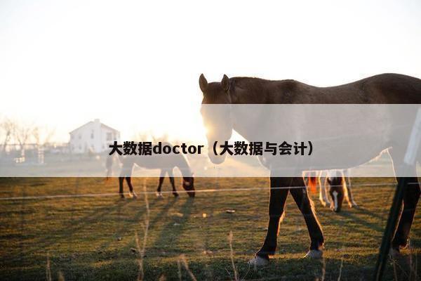 大数据doctor（大数据与会计）