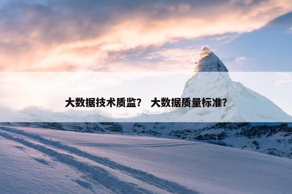 大数据技术质监？ 大数据质量标准？