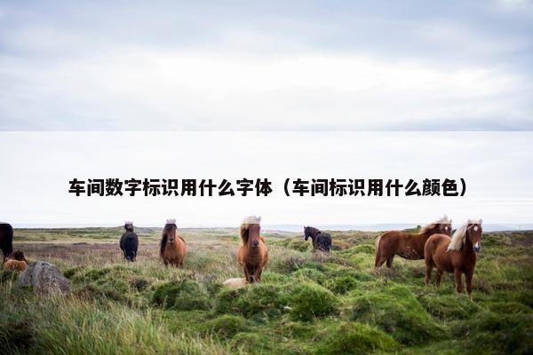 车间数字标识用什么字体（车间标识用什么颜色）
