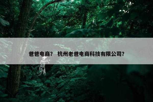 爸爸电商？ 杭州老爸电商科技有限公司？
