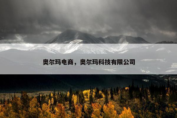 奥尔玛电商，奥尔玛科技有限公司