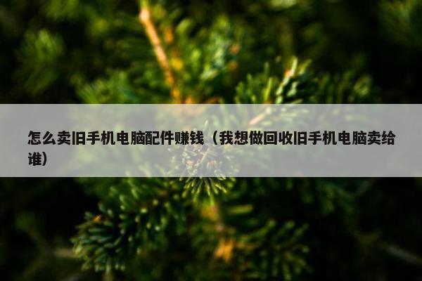 怎么卖旧手机电脑配件赚钱（我想做回收旧手机电脑卖给谁）