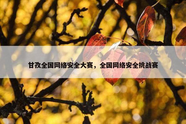 甘孜全国网络安全大赛，全国网络安全挑战赛