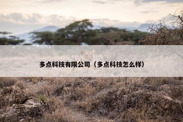 多点科技有限公司（多点科技怎么样）