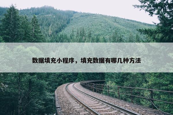 数据填充小程序，填充数据有哪几种方法