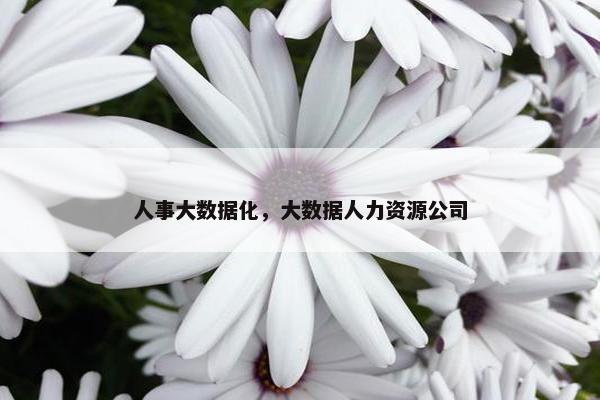 人事大数据化，大数据人力资源公司