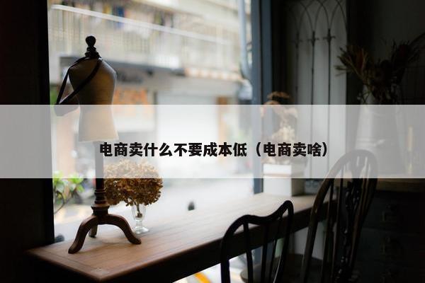 电商卖什么不要成本低（电商卖啥）