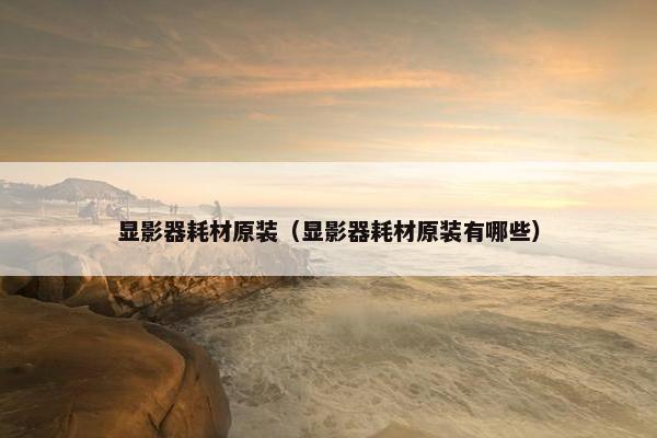显影器耗材原装（显影器耗材原装有哪些）