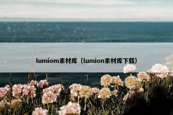 lumiom素材库（lumion素材库下载）